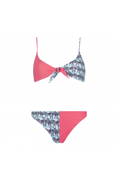 Haut Paloma & Culotte Alix Zebra